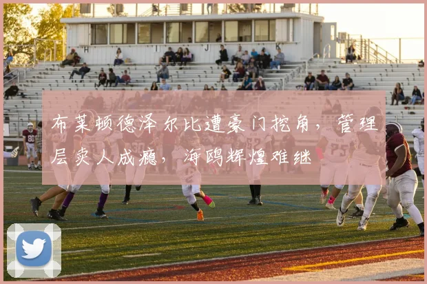 布莱顿德泽尔比遭豪门挖角,管理层卖人成瘾,海鸥辉煌难继