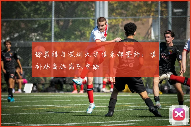 徐晨皓与深圳大学俱乐部签约,填补林高远离队空缺