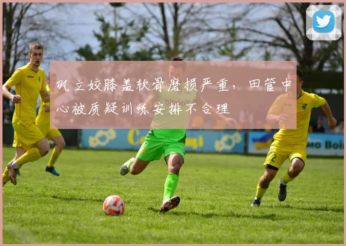 巩立姣膝盖软骨磨损严重,田管中心被质疑训练安排不合理