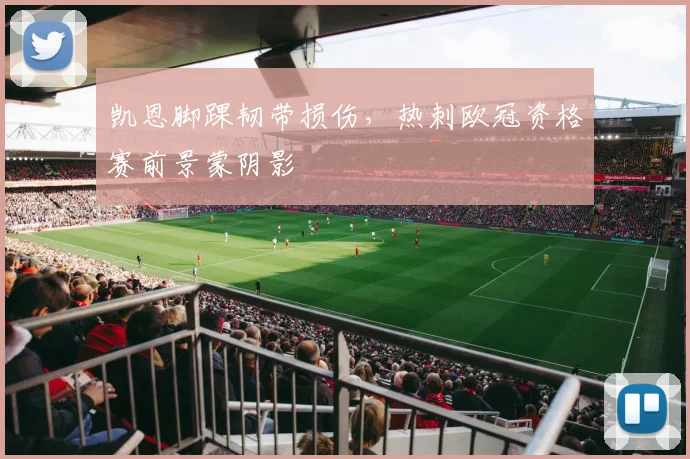 凯恩脚踝韧带损伤,热刺欧冠资格赛前景蒙阴影